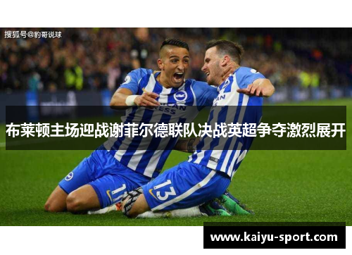 布莱顿主场迎战谢菲尔德联队决战英超争夺激烈展开